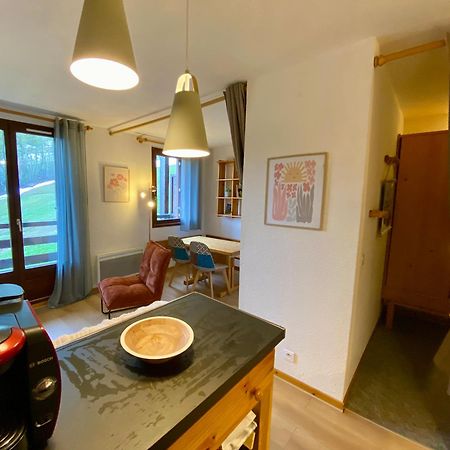 Appartement Au Pied Des Pistes ピュイ・サン・ヴァンサン エクステリア 写真